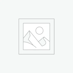 Dell Latitude 5310 – 10th Gen Core i5, 8GB RAM, 256GB SSD – Unit 1
